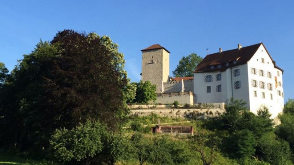 Das Schloss Wildenstein soll für die Öffentlichkeit zugänglich werden.