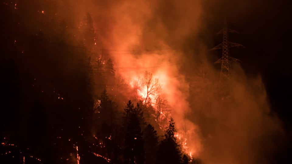 Waldbrand im Misox (GR) Ende Dezember 2016.