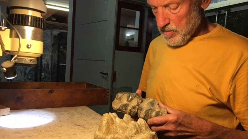 Urzeitforscher Urs Oberli weiss von keinem ähnlichen Fund.