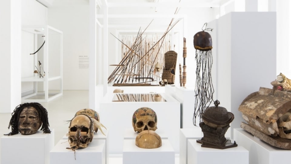 Kopfjagdtrophäen übten eine besondere Faszination auf Europäer aus. Auch das thematisiert das Museum der Kulturen in Basel.