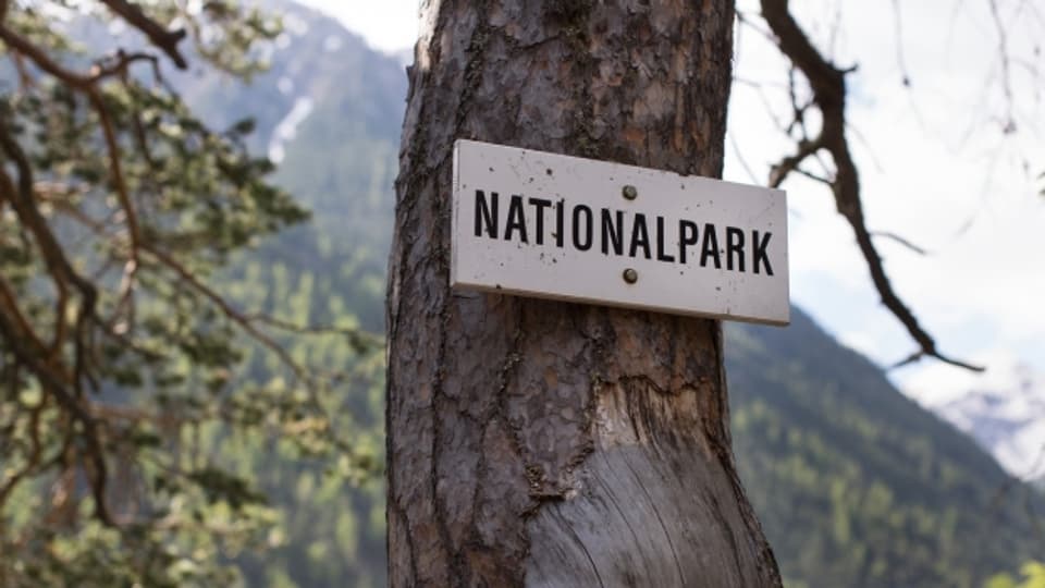 Auch der Kanton soll sich an den Kosten beteiligen, fordert der Schweizerische Nationalpark.