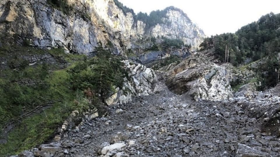 Grosse Steinmassen haben sich oberhalb der Axenstrasse gelöst.