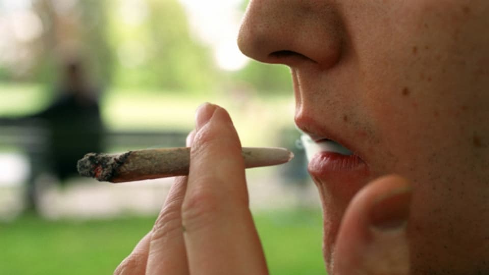 Die meisten Kiffer haben ihren Cannabiskonsum im Griff.
