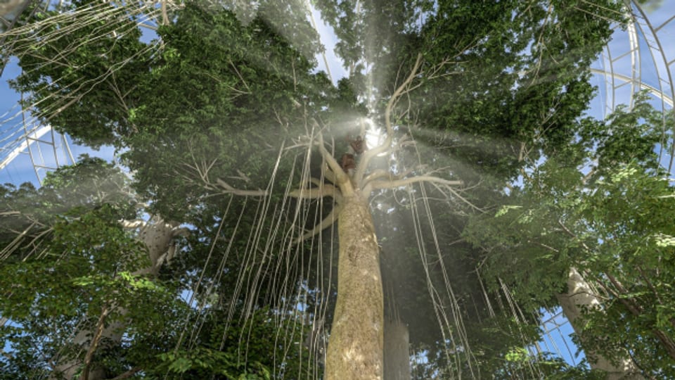 Das Projekt Sumatra Regenwald, geplant nach 2030 in Zoo Zürich.