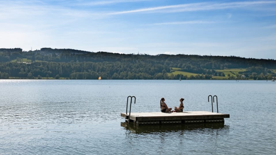 Baden ist trotz Blaualgen möglich, einfach nicht dort, wo es trüb ist.