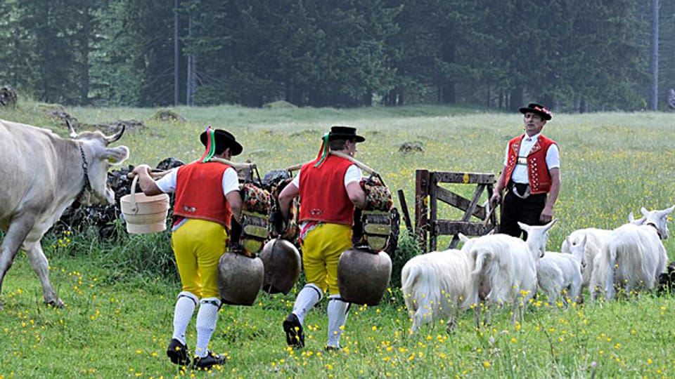 Die Alpfahrt wird im Appenzellerland immer ganz traditionell durchgeführt.