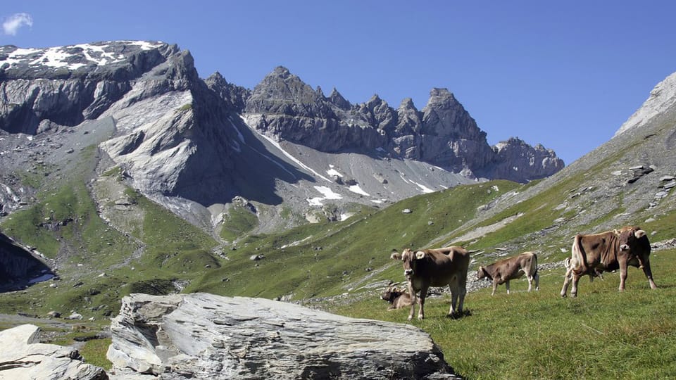 Vor fünf Jahren wurde die Tektonikarena Sardona zum Unesco Weltnaturerbe ernannt. Seither kommen Touristen aus der ganzen Welt. Die Welterben in der Schweiz im Überblick.