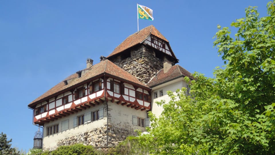 Das Schloss Frauenfeld ist zu klein für das Museum.