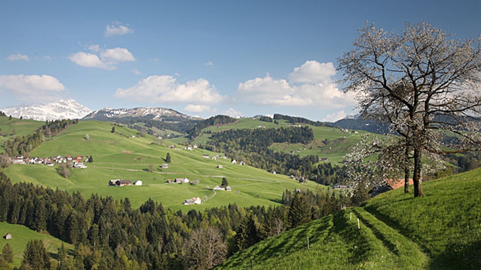 Regionaler Naturpark Neckertal: Im November wird entschieden, ob er umgesetzt werden soll.