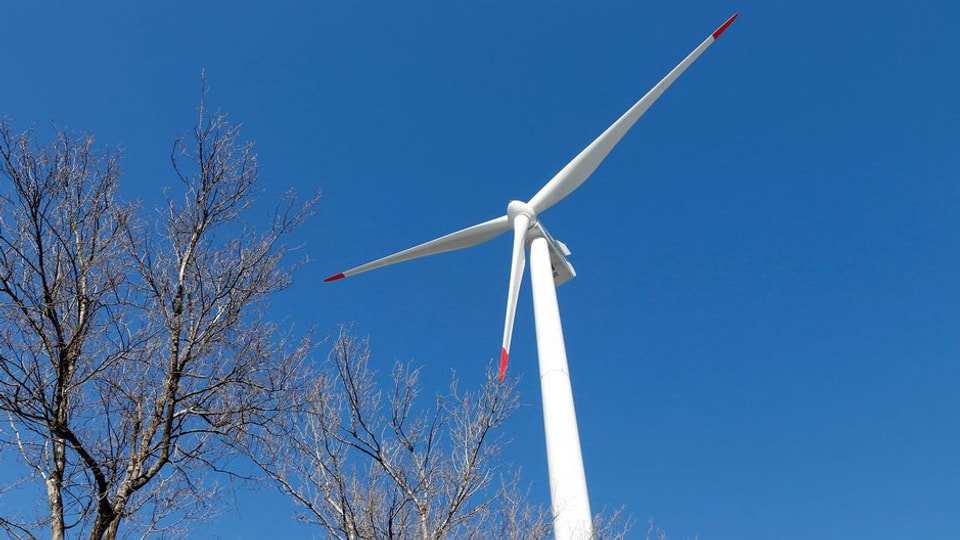 Messungen haben gezeigt: In der Melser Rheinau gibt es genug Wind für einen Windpark.