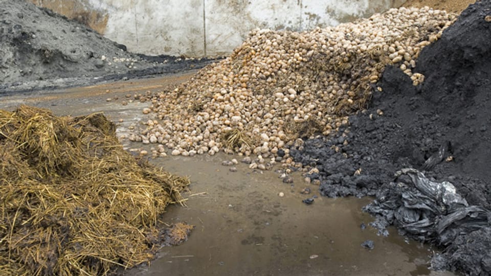 In einer Kompogas-Anlage werden pflanzliche Abfälle, Gülle und Lebensmittelreste zu Energie verarbeitet.