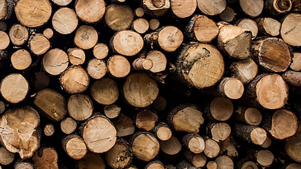 Mit einem Anteil von 70 Prozent blieb die Nachfrage nach Energieholz unverändert hoch.