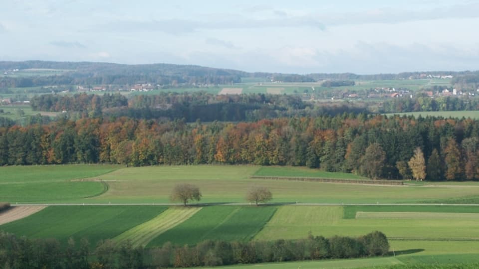 Grünflächen prägen das Thurgauer Landschaftsbild.