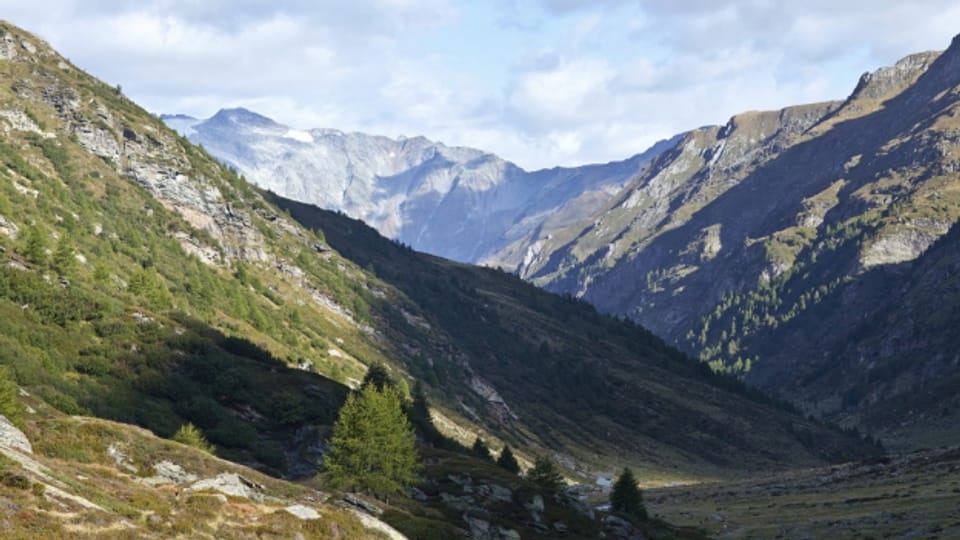 Im Kanton Graubünden wird ein neuer Nationalpark geplant.