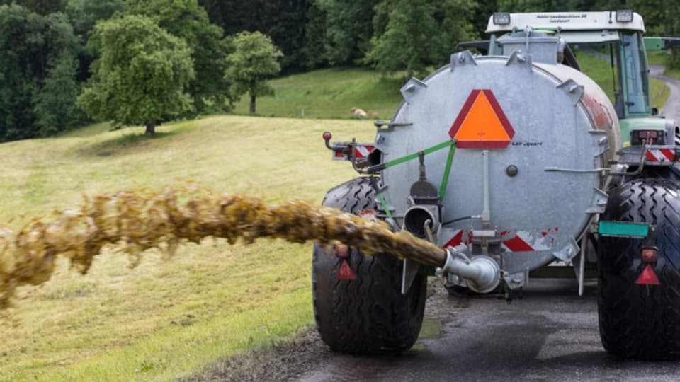 Thurgauer Bauern verfehlen ihre Ziele bei Ammoniakprojket.