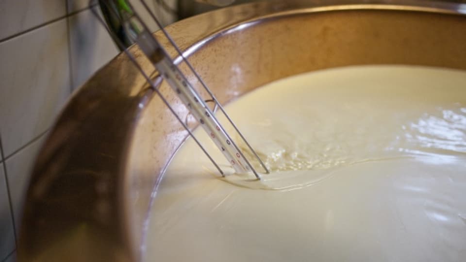 Alpenmilch bringt in Appenzell Innerrhoden mehr Profit