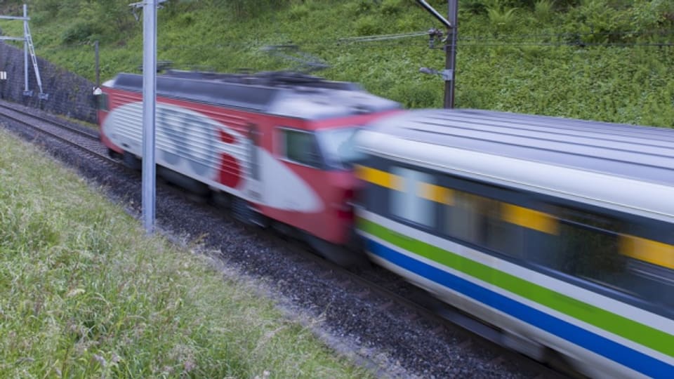 Ostschweizer Transportunternehmen kämpfen mit Schwarzfahrern
