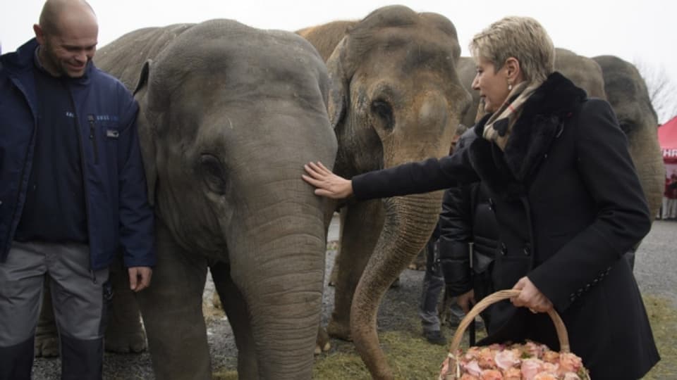 Elefantendame Dehli hat Karin Keller-Sutter Rosen überreicht.