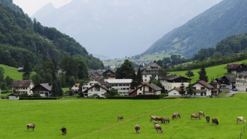 Bauern in Glarus Süd formieren sich in einem Verein