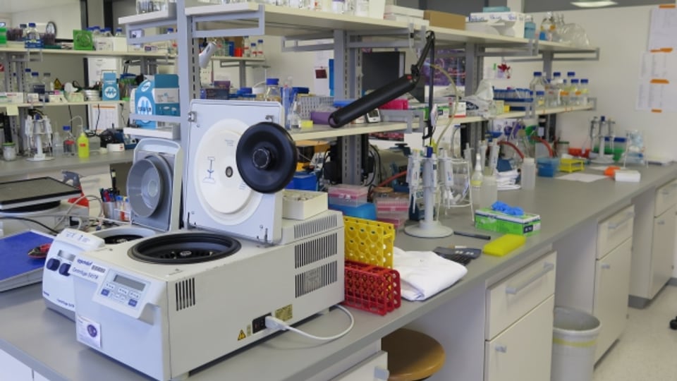 Das Biotechnologie Institut Thurgau forscht vor allem im Bereich der Krebserkrankungen.