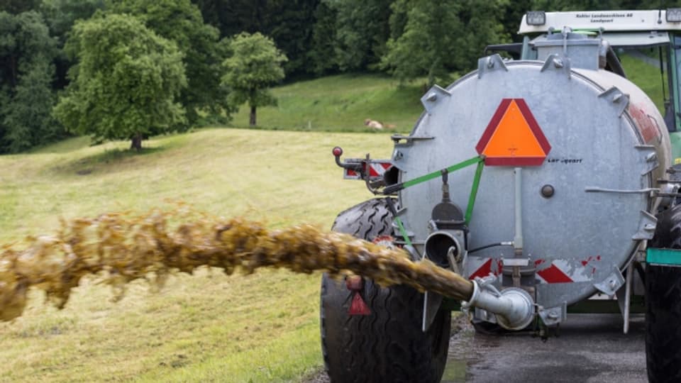 Güllen: St. Gallen geht gegen Bauern vor.