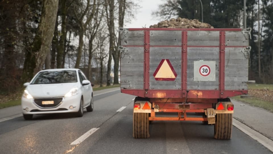 Thurgauer Zuckerrüben-Bauern haben Transportgenossenschaft gegründet.