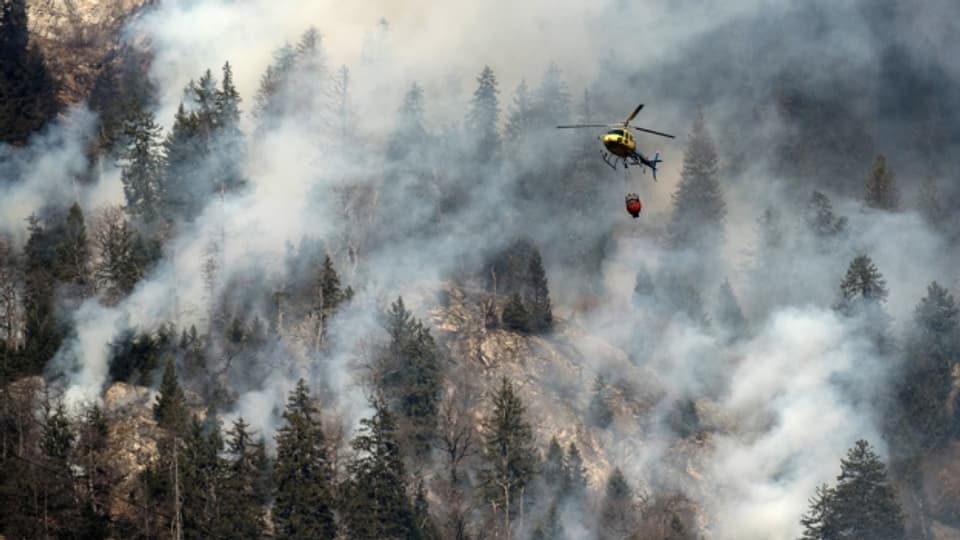 Bilder, die vielen in Erinnerung geblieben sind: Der grosse Waldbrand im Dezember 2016 im Misox.