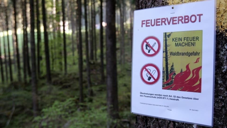 Ein Schild in einem Wald weist auf das Feuerverbot hin.