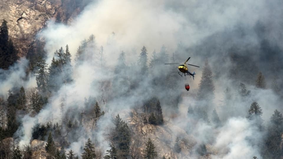 Der Kanton Graubünden zieht Lehren aus den Waldbränden der letzten Jahre.