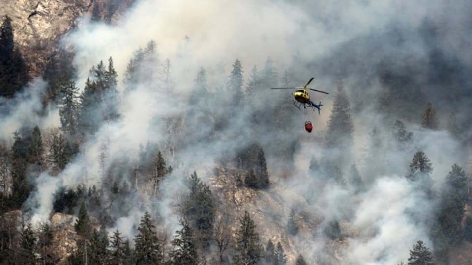 Der Kanton Graubünden zieht Lehren aus den Waldbränden der letzten Jahre.