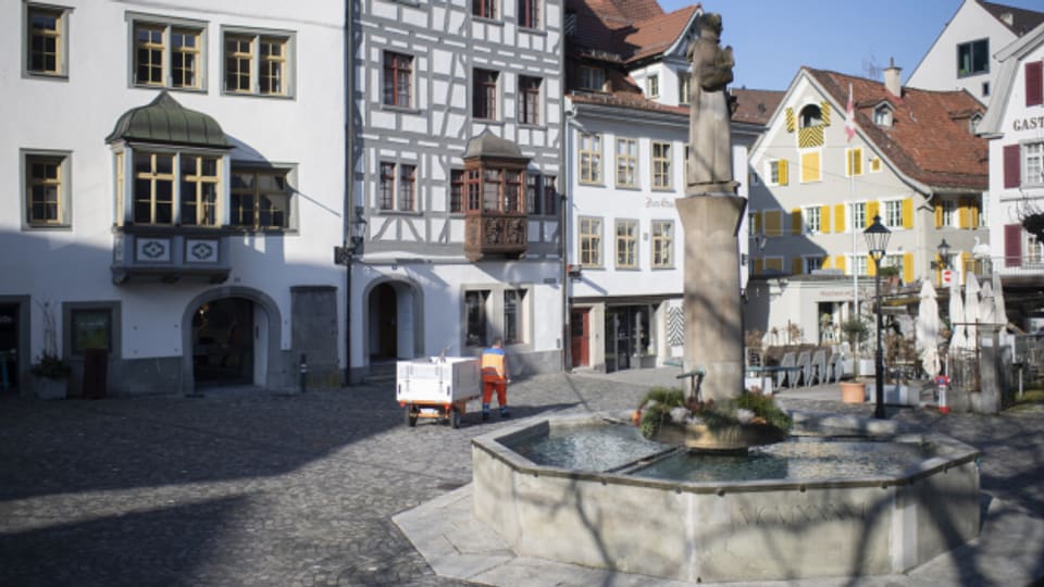 Die Stadt St. Gallen stellt ihr Umweltkonzept vor. Mit Pflanzen soll die Temperatur in der Stadt gesenkt werden.