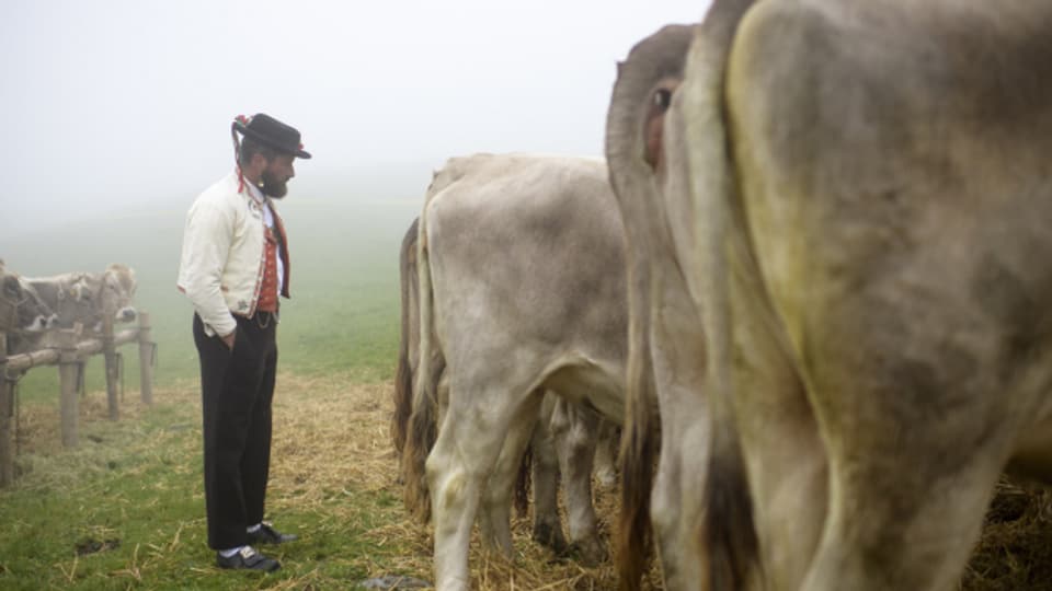Dieses Jahr finden im Kanton Appenzell Ausserrhoden keine Viehschauen statt. Die Enttäuschung bei den Bauern ist gross.