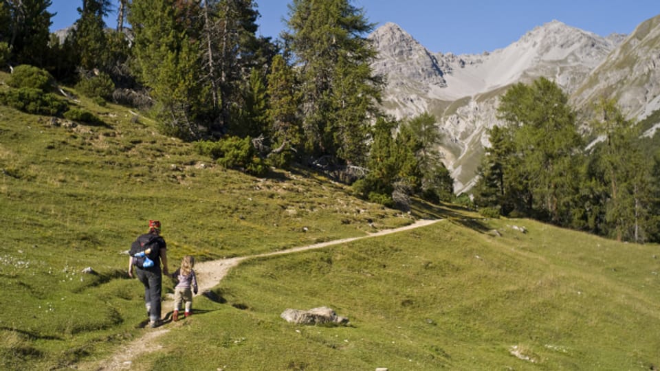 Im Schweizerischen Nationalpark werden deutlich mehr Besucherinnen und Besucher gezählt.