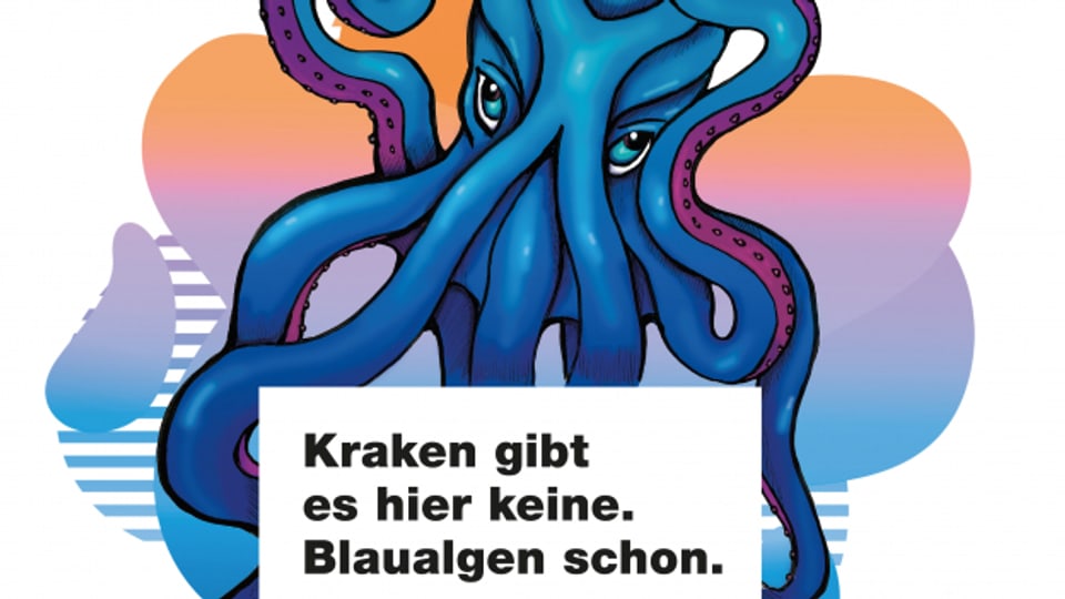 Der Kanton St. Gallen warnt mit Plakaten vor Blaualgen
