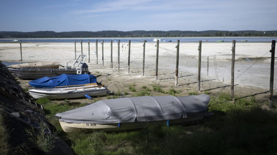 Bodensee-Boote liegen auf dem Trockenen