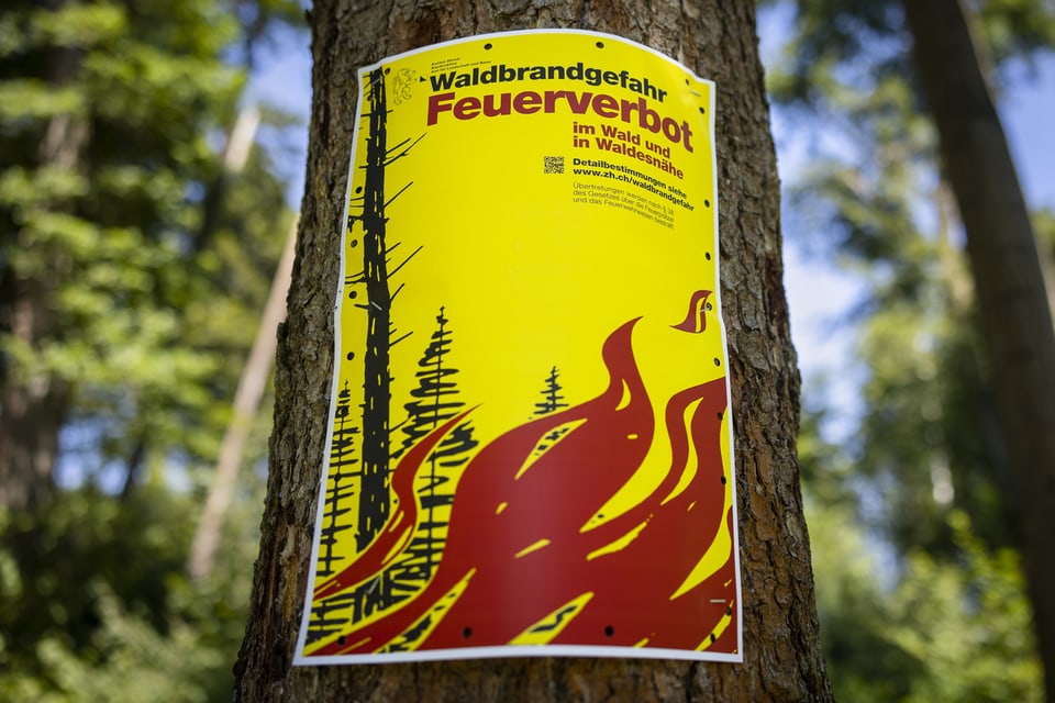 Ein Plakat an einem Baum zeigt, wie bis anhin im Wald das Grillieren verboten wurde