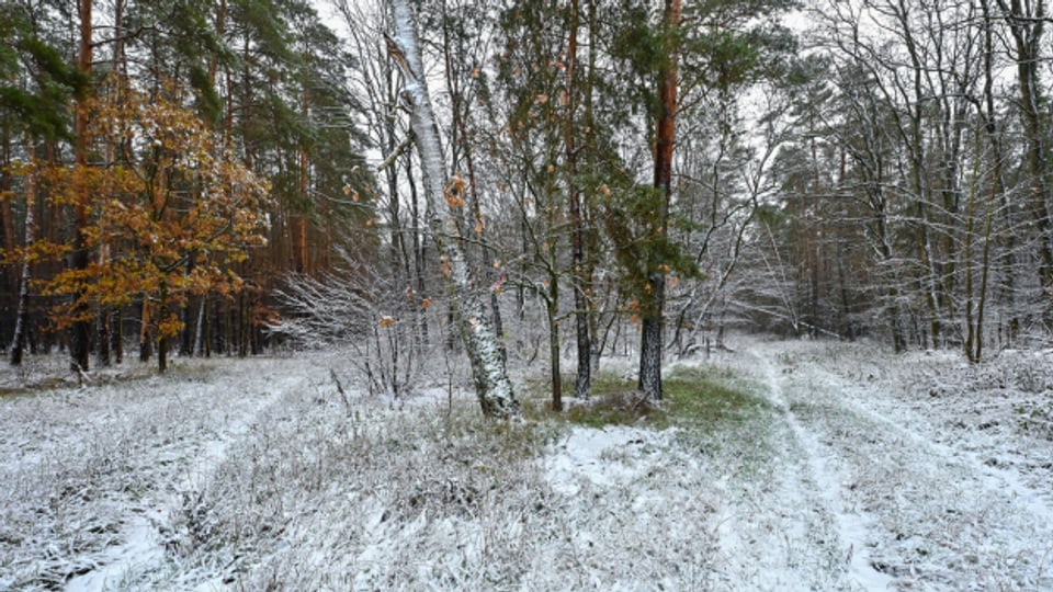 Wegen wenig Schnee droht im Sommer eine Trockenheit