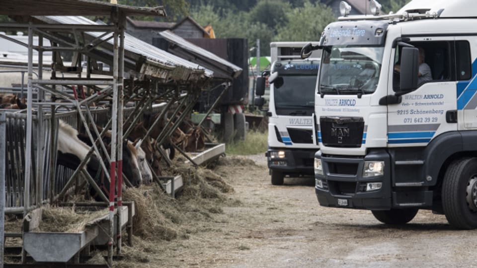 Vor einer Woche wurde der beschuldigte Landwirt in den Hauptanklagepunkten freigesprochen.