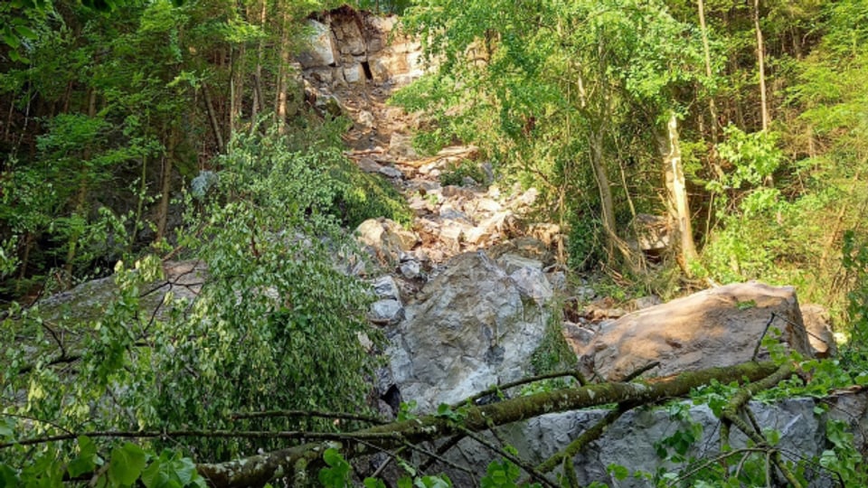 Nicht gefährdet vom Felssturz ist ein in der Nähe liegender Waldspielplatz.