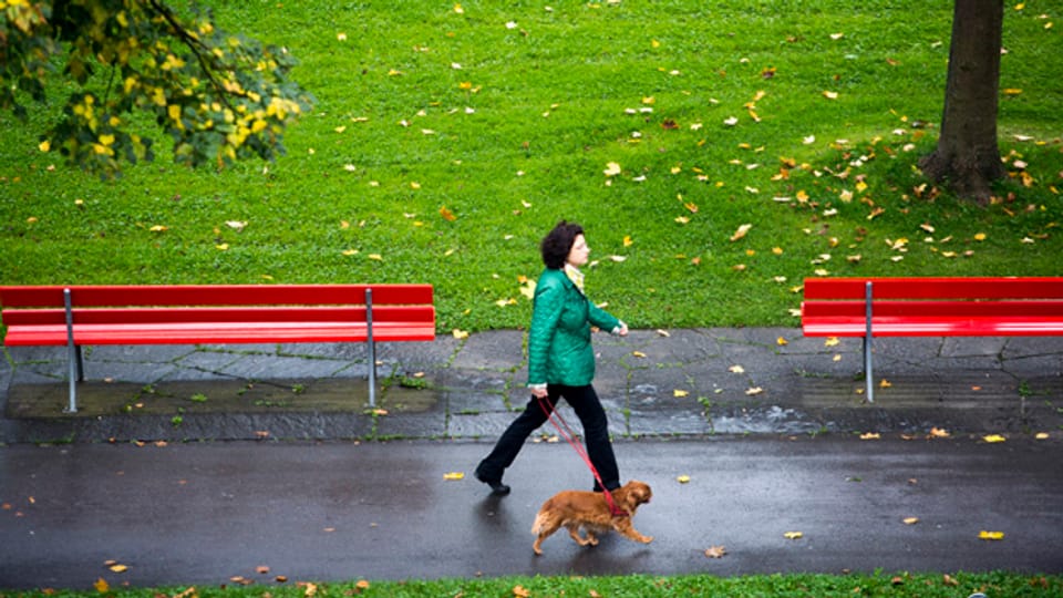 Auch wenn sie brav bei Fuss gehen, sollen Hunde in Zürich nicht weniger Steuern kosten.