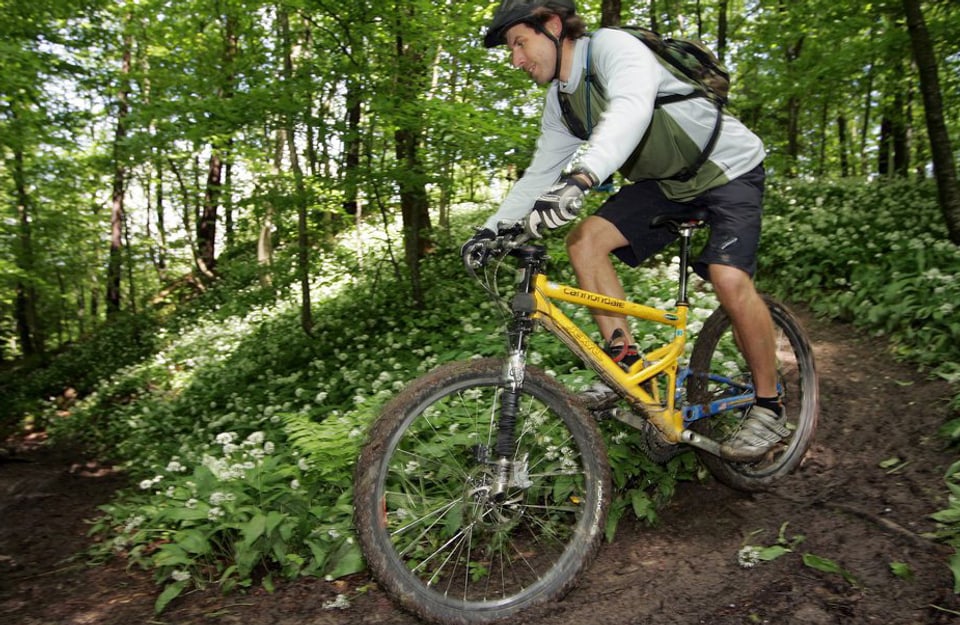 Biker sollen künftig nicht nur runter sausen, sondern auch mit eigener Kraft auf den Uetliberg pedalen.