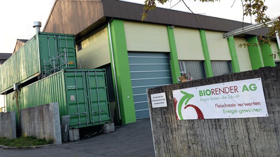 Das Unternehmen Biorender stand von Anfang an auf wackligen Beinen.