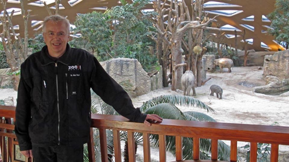 Der Chef und sein neuster Streich: Zoodirektor Alex Rübel im Elefanten-Park.