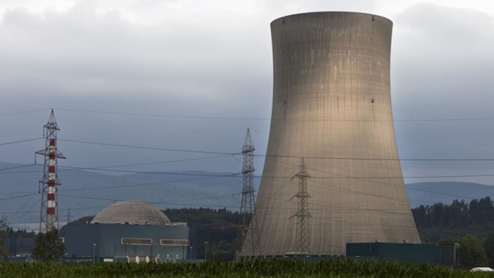 Kein Atomstrom mehr in 20 Jahren, fordert das Stadtparlament.