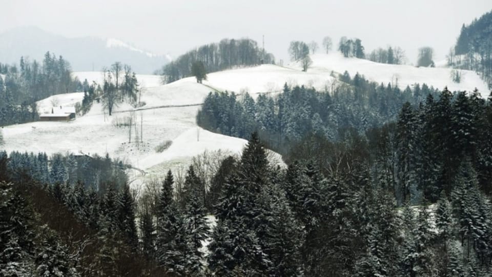 Winterlandschaft im Zürcher Oberland