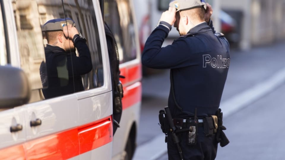 Die Stadtpolizei Zürich hat einen «gefährlichen Sexualstraftäter» festgenommen.