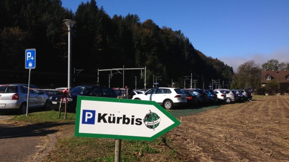 Kein Autochaos mehr - das neue Konzept für das «Kürbisdorf» Seegräben funktioniert.