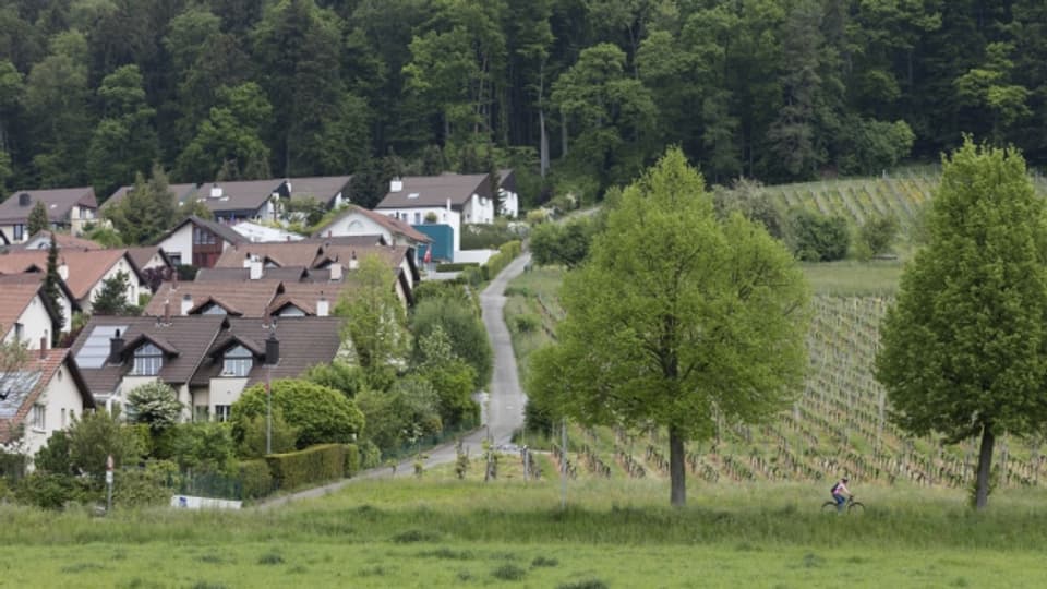 Der Kanton Zürich will Waldflächen genau eingrenzen.