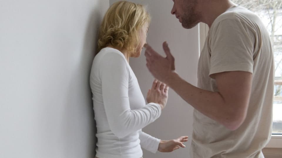 «Octagon» soll auch bei Fällen von häuslicher Gewalt zum Einsatz kommen.