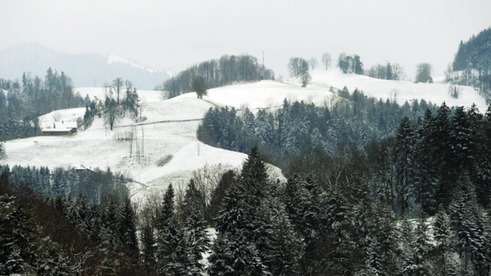 Ein leicht verschneiter Sitzberg im Zürcher Oberland.